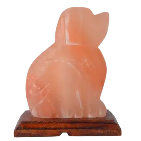 Dog Salt Lamp — IS-159