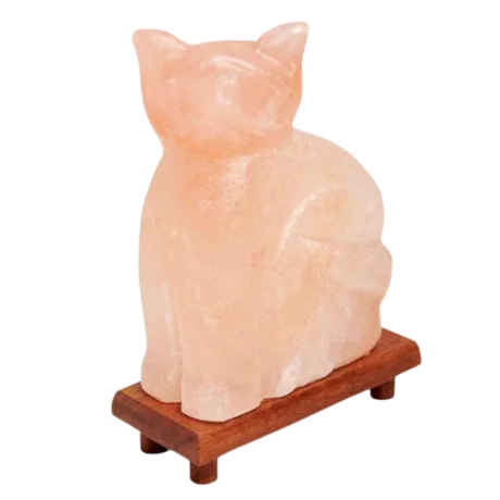 Swan Salt Lamp — IS-160