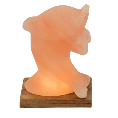 Dolphin Salt Lamp — IS-163
