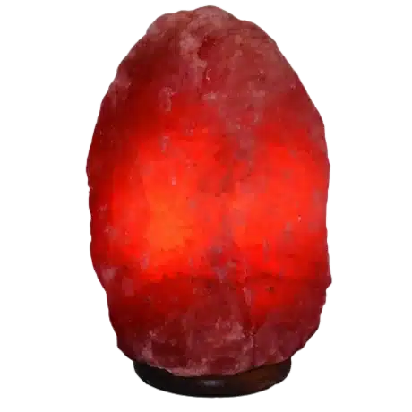 Himalayan Dark Pink Natural Shaped Salt Lamp